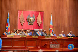 RDC - Sénat : malgré la pression de l’Opposition, la loi sur le référendum passe