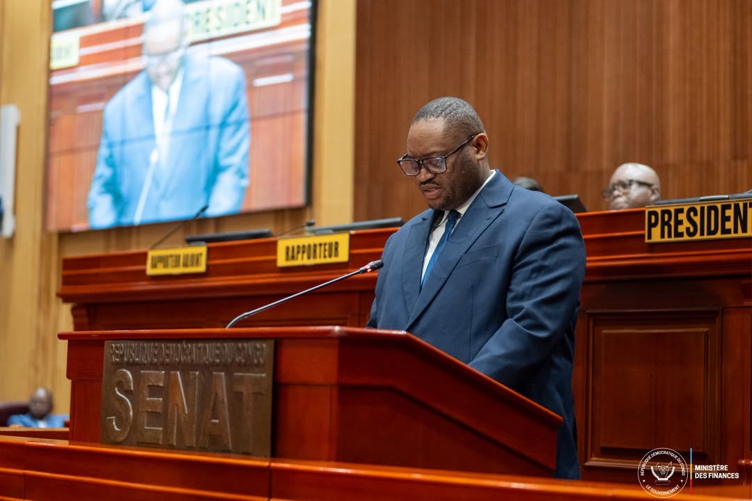 RDC : le Sénat valide la réforme de Fwamba qui instaure le guichet unique pour les conventions de collaboration