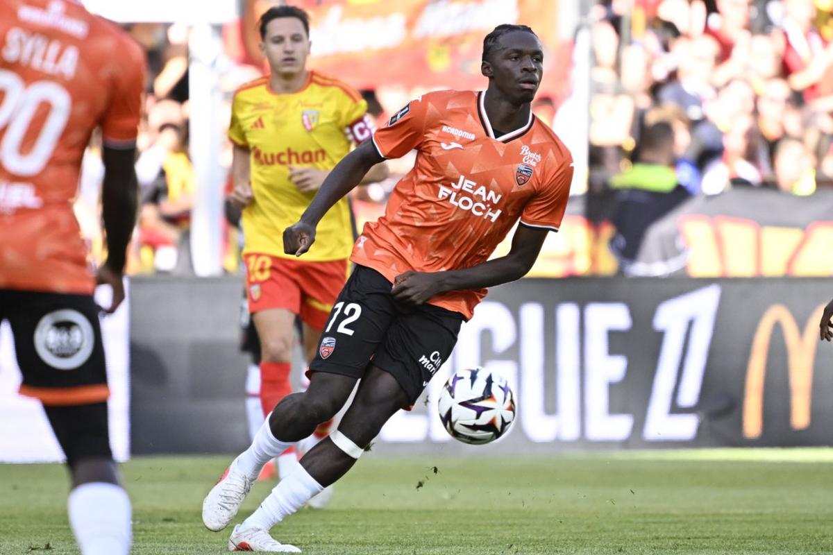 [Découverte : 5/14] Léopards : Noah Mbamba sur les traces de Sadiki, Epolo, Mukau…